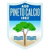 皮内托